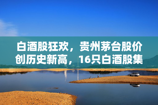 白酒股狂欢，贵州茅台股价创历史新高，16只白酒股集体上涨