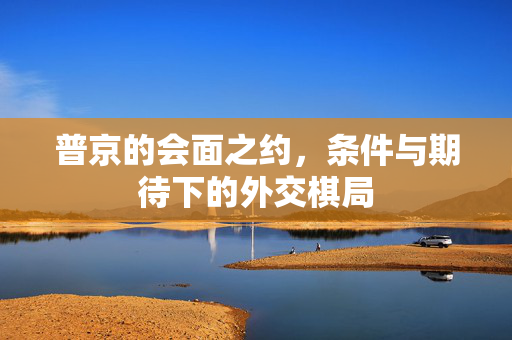 普京的会面之约，条件与期待下的外交棋局