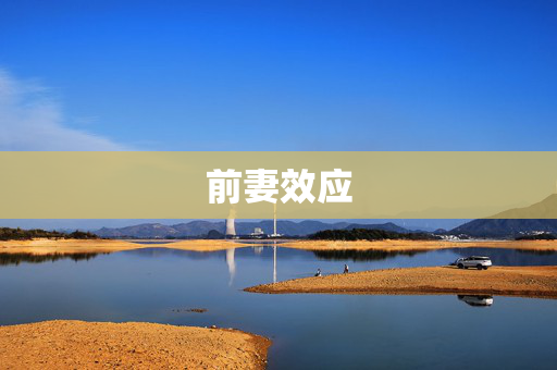前妻效应