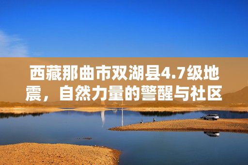 西藏那曲市双湖县4.7级地震，自然力量的警醒与社区的坚韧应对
