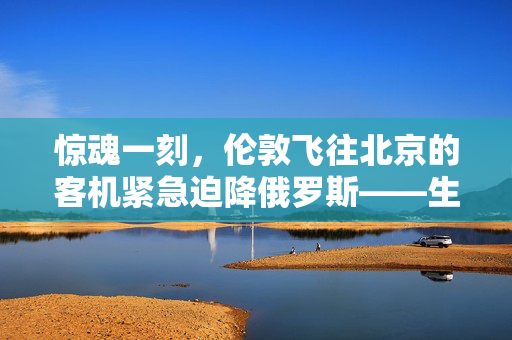 惊魂一刻，伦敦飞往北京的客机紧急迫降俄罗斯——生死瞬间的勇气与协作