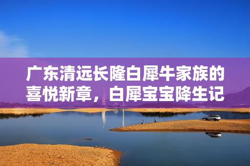 广东清远长隆白犀牛家族的喜悦新章，白犀宝宝降生记