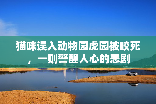 猫咪误入动物园虎园被咬死，一则警醒人心的悲剧