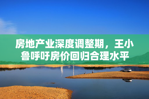 房地产业深度调整期，王小鲁呼吁房价回归合理水平