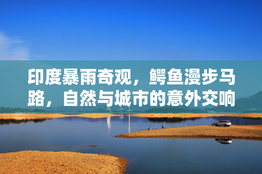 印度暴雨奇观，鳄鱼漫步马路，自然与城市的意外交响