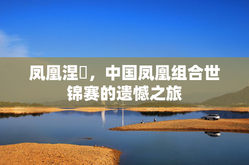 凤凰涅槃，中国凤凰组合世锦赛的遗憾之旅