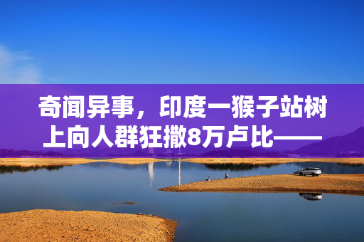 奇闻异事，印度一猴子站树上向人群狂撒8万卢比——自然界的钞票雨奇观
