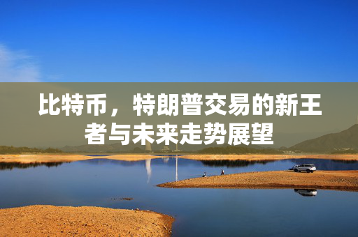 比特币，特朗普交易的新王者与未来走势展望