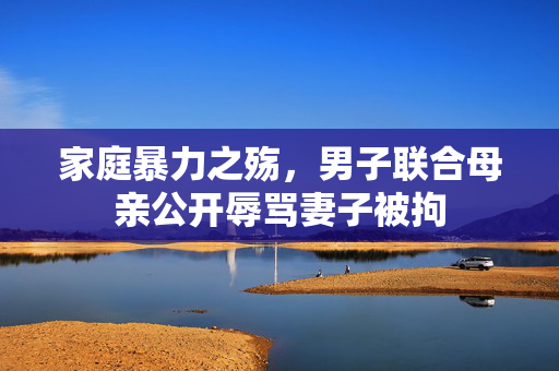 家庭暴力之殇，男子联合母亲公开辱骂妻子被拘