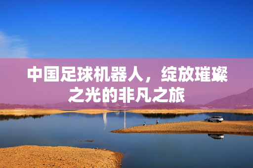 中国足球机器人，绽放璀璨之光的非凡之旅