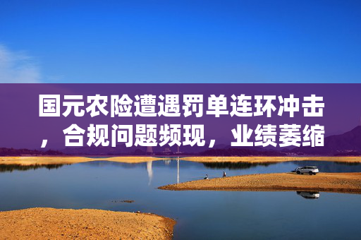 国元农险遭遇罚单连环冲击，合规问题频现，业绩萎缩待考专项整治行动成效