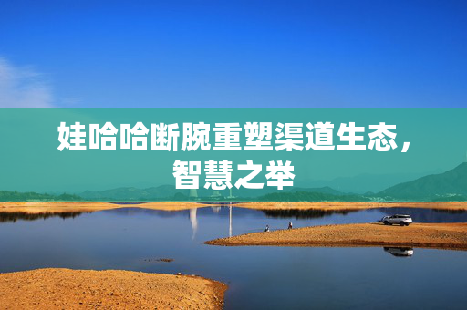 娃哈哈断腕重塑渠道生态，智慧之举
