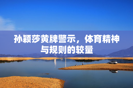 孙颖莎黄牌警示，体育精神与规则的较量