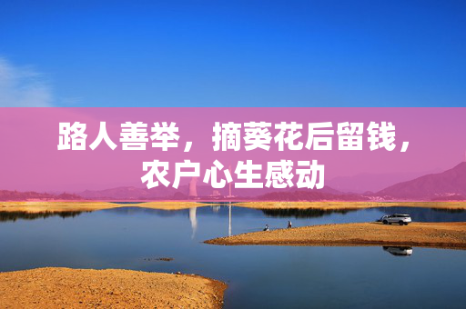 路人善举，摘葵花后留钱，农户心生感动