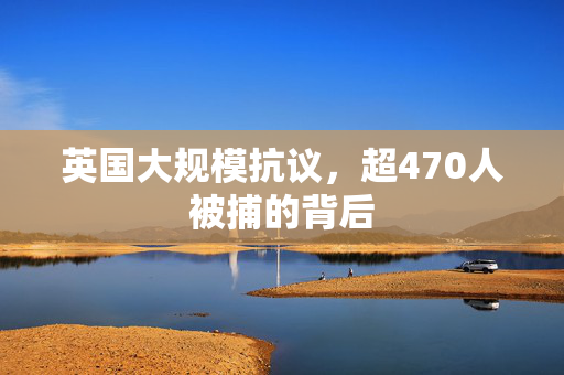 英国大规模抗议，超470人被捕的背后