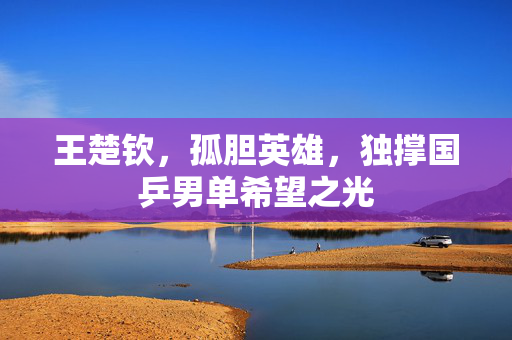 王楚钦，孤胆英雄，独撑国乒男单希望之光
