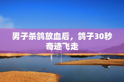 男子杀鸽放血后，鸽子30秒奇迹飞走