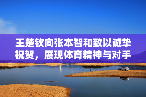 王楚钦向张本智和致以诚挚祝贺，展现体育精神与对手尊重