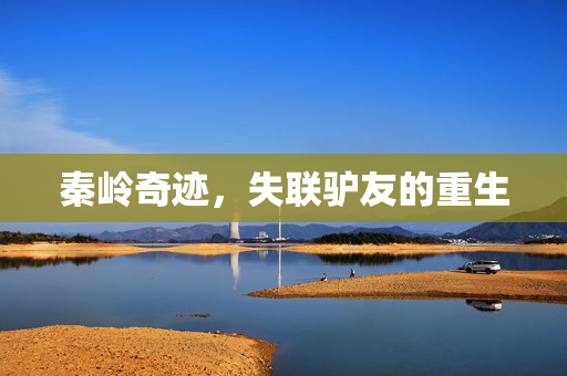 秦岭奇迹，失联驴友的重生