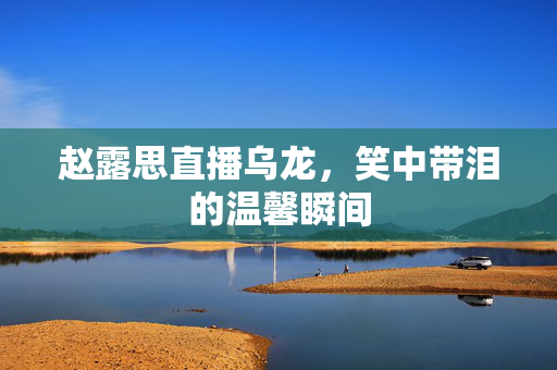 赵露思直播乌龙，笑中带泪的温馨瞬间