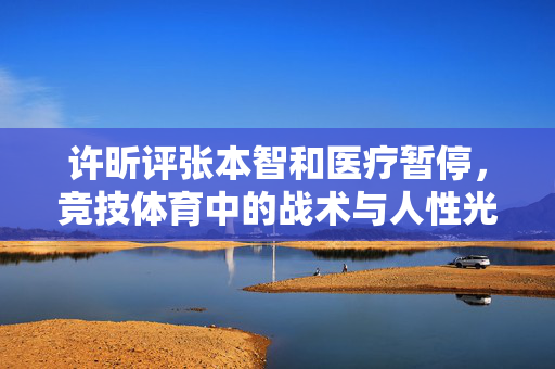 许昕评张本智和医疗暂停，竞技体育中的战术与人性光辉