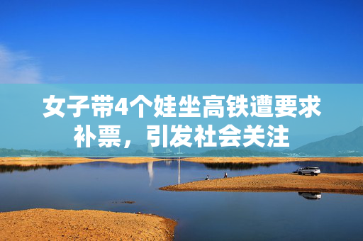 女子带4个娃坐高铁遭要求补票，引发社会关注