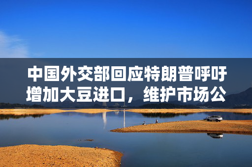 中国外交部回应特朗普呼吁增加大豆进口，维护市场公平与开放