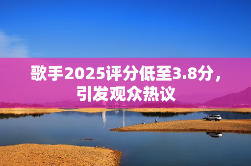 歌手2025评分低至3.8分，引发观众热议