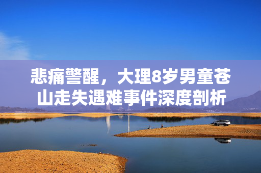 悲痛警醒，大理8岁男童苍山走失遇难事件深度剖析