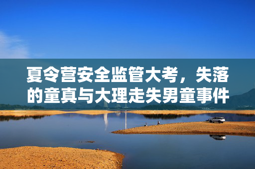 夏令营安全监管大考，失落的童真与大理走失男童事件
