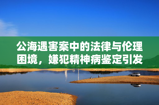 公海遇害案中的法律与伦理困境，嫌犯精神病鉴定引发的争议