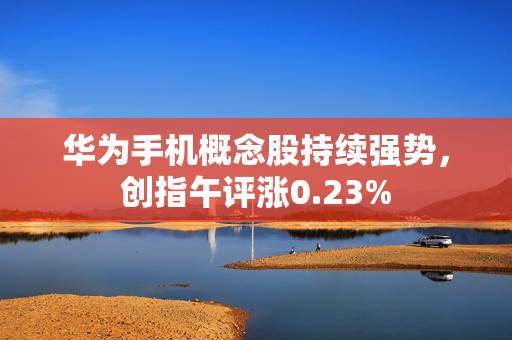华为手机概念股持续强势，创指午评涨0.23%