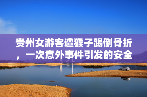 贵州女游客遭猴子踢倒骨折，一次意外事件引发的安全与自然共处思考