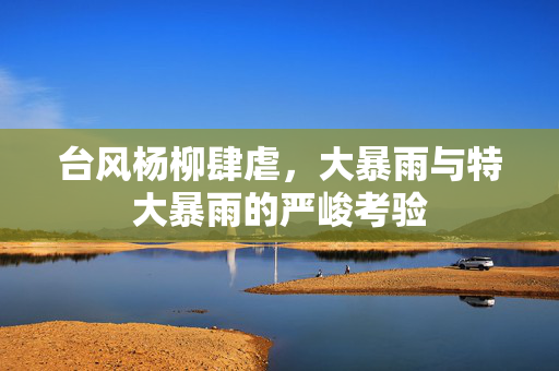 台风杨柳肆虐，大暴雨与特大暴雨的严峻考验