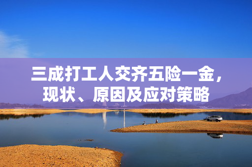 三成打工人交齐五险一金，现状、原因及应对策略