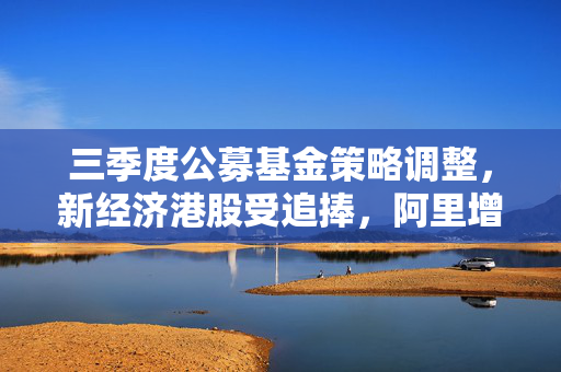 三季度公募基金策略调整，新经济港股受追捧，阿里增持与中字头减持成焦点