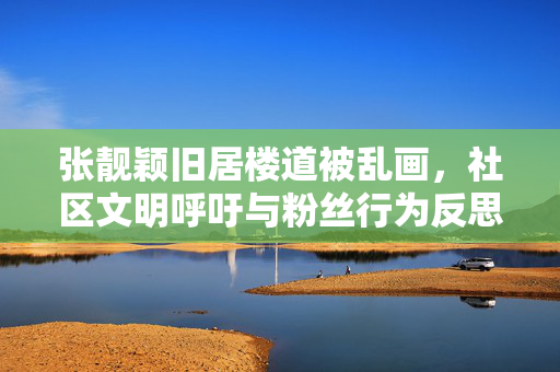 张靓颖旧居楼道被乱画，社区文明呼吁与粉丝行为反思