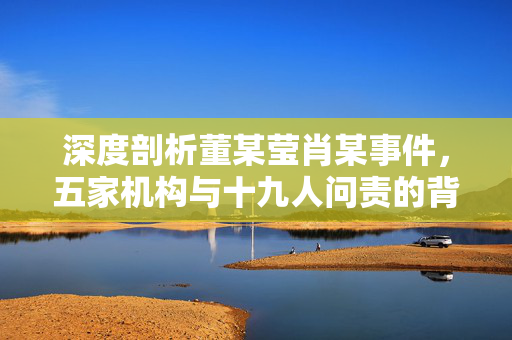 深度剖析董某莹肖某事件，五家机构与十九人问责的背后