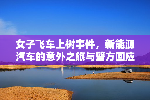 女子飞车上树事件，新能源汽车的意外之旅与警方回应