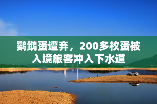 鹦鹉蛋遭弃，200多枚蛋被入境旅客冲入下水道