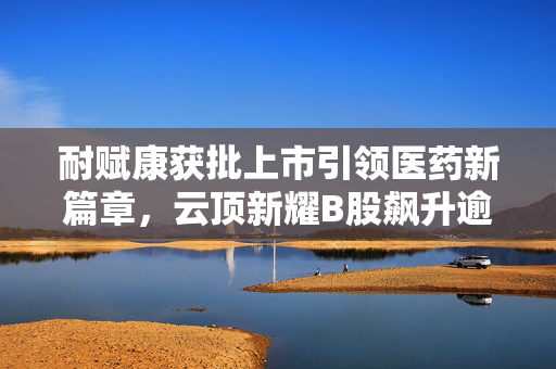 耐赋康获批上市引领医药新篇章，云顶新耀B股飙升逾8%