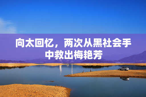 向太回忆，两次从黑社会手中救出梅艳芳
