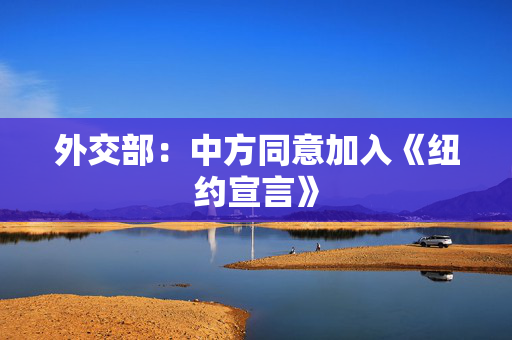 外交部：中方同意加入《纽约宣言》
