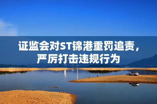 证监会对ST锦港重罚追责，严厉打击违规行为