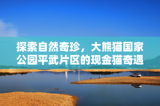 探索自然奇珍，大熊猫国家公园平武片区的现金猫奇遇