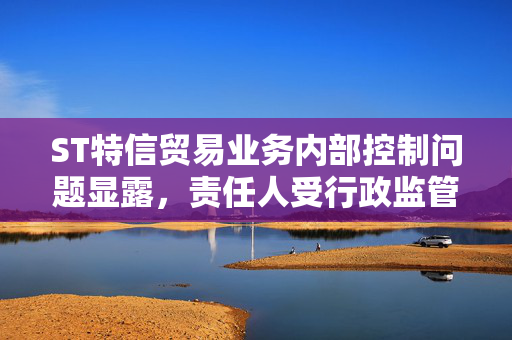 ST特信贸易业务内部控制问题显露，责任人受行政监管措施