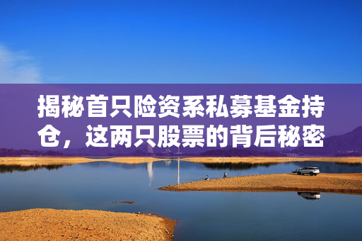 揭秘首只险资系私募基金持仓，这两只股票的背后秘密