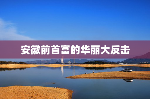 安徽前首富的华丽大反击