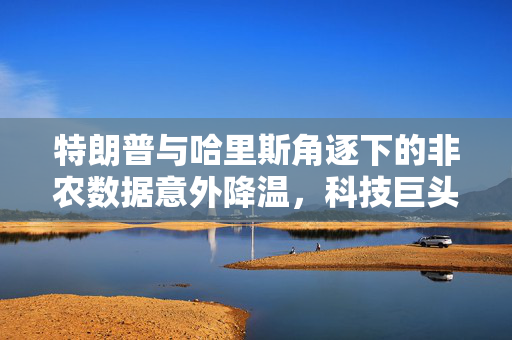 特朗普与哈里斯角逐下的非农数据意外降温，科技巨头财报平淡，美股全线调整的一周外盘头条