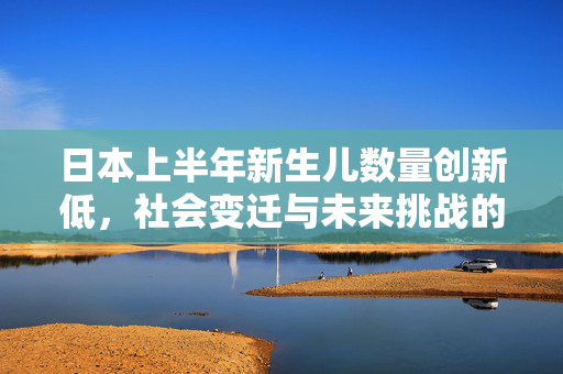 日本上半年新生儿数量创新低，社会变迁与未来挑战的深刻反思